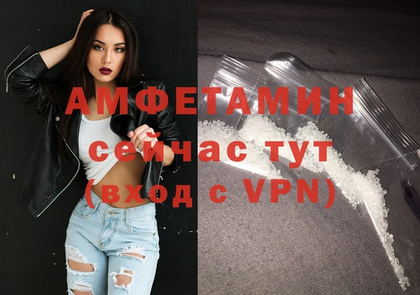гашик Абаза