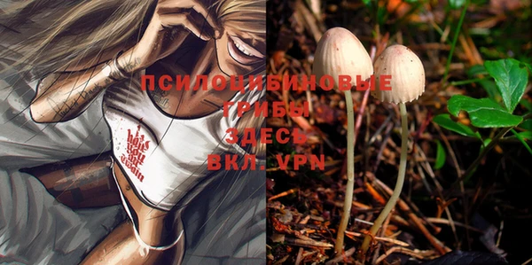 jwh Абинск