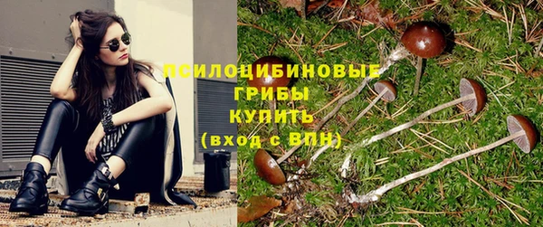 не бодяженный Абдулино